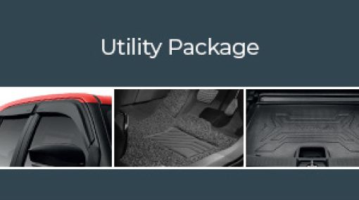 Perodua Axia Utility Package