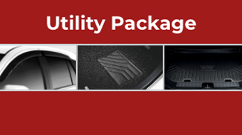 Perodua Myvi - Compact Car