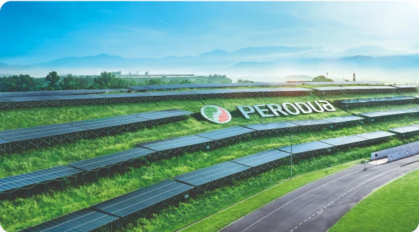 Perodua number plate and sensor area in a functional close-up.