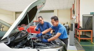 TRAINING & DEVELOPMENT