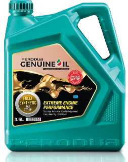 Perodua car beside a clean kerb ramp, an everyday accessibility moment.